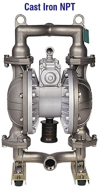 NDP-40 Cast Iron NPT