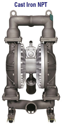 NDP-80 SS/Hastelloy/Cast Iron NPT